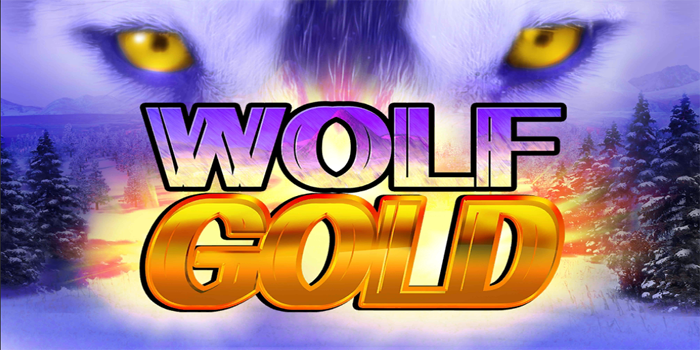 Cara Main Slot Wolf Gold Biar Sering Jackpot